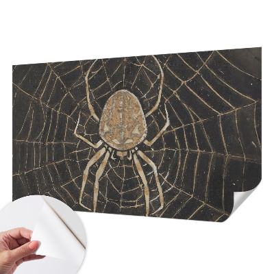 Fototapeta pro holku Pavučina