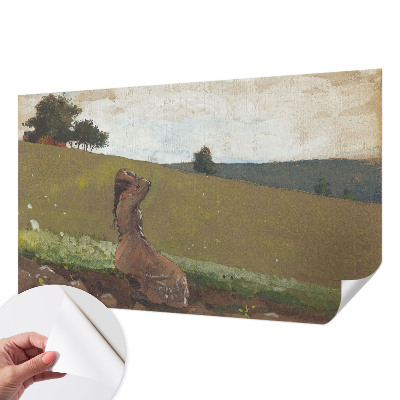 Dětská fototapeta Tichá scéna