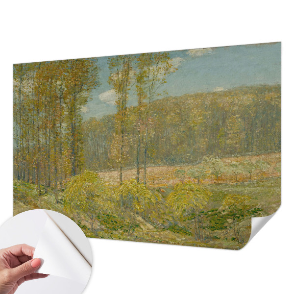 Fototapeta pro kluka Lesní krajina