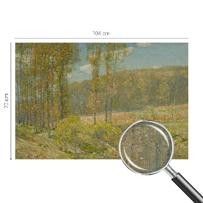 Fototapeta pro kluka Lesní krajina