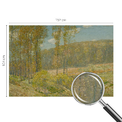 Fototapeta pro kluka Lesní krajina