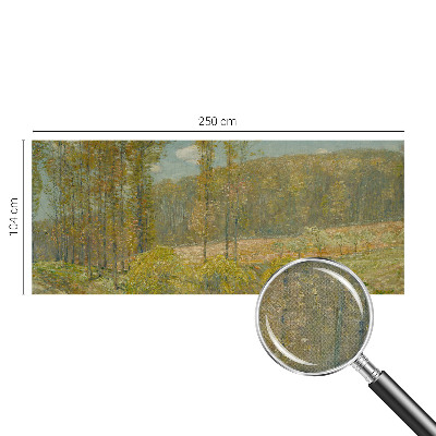 Fototapeta pro kluka Lesní krajina