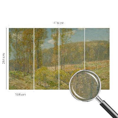 Fototapeta pro kluka Lesní krajina