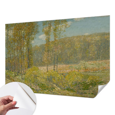 Fototapeta pro kluka Lesní krajina