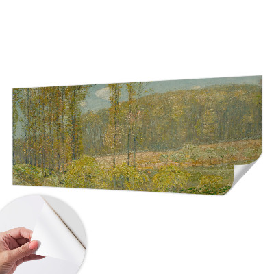 Fototapeta pro kluka Lesní krajina