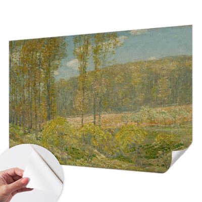 Fototapeta pro kluka Lesní krajina