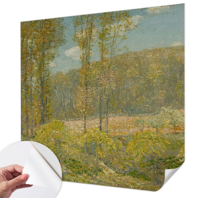 Fototapeta pro kluka Lesní krajina