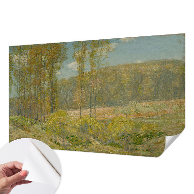 Fototapeta pro kluka Lesní krajina