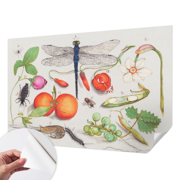 Samolepicí fototapeta do dětského pokoje Ilustrace přírody