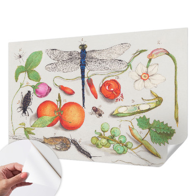 Samolepicí fototapeta do dětského pokoje s ilustrací přírody