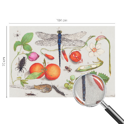 Samolepicí fototapeta do dětského pokoje Ilustrace přírody