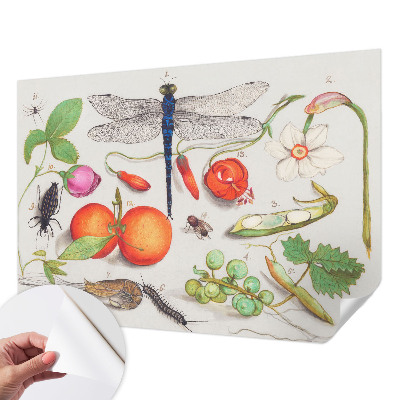 Samolepicí fototapeta do dětského pokoje Ilustrace přírody