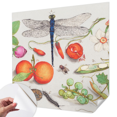 Samolepicí fototapeta do dětského pokoje Ilustrace přírody