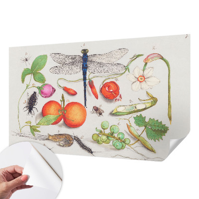Samolepicí fototapeta do dětského pokoje Ilustrace přírody