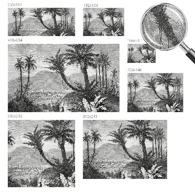 Samolepící fototapeta 3d Tropická oáza