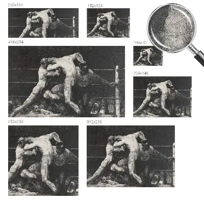 Fototapeta pro holku Souboj boxerů