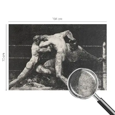 Fototapeta pro holku Souboj boxerů