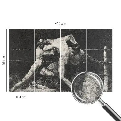 Fototapeta pro holku Souboj boxerů
