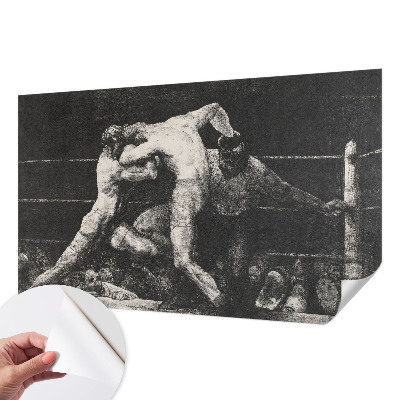 Fototapeta pro holku s motivem souboje boxerů
