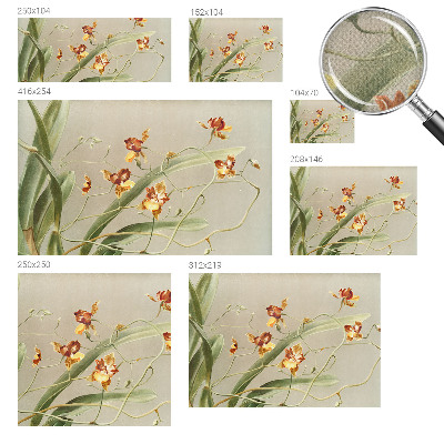 Samolepicí fototapeta Klasické orchideje