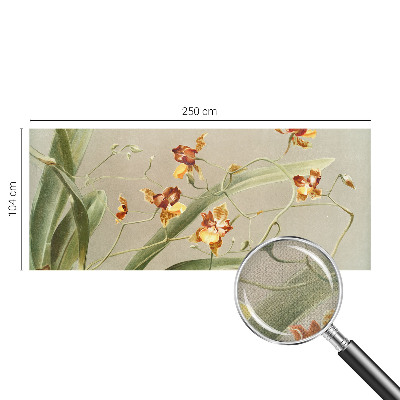 Samolepicí fototapeta Klasické orchideje