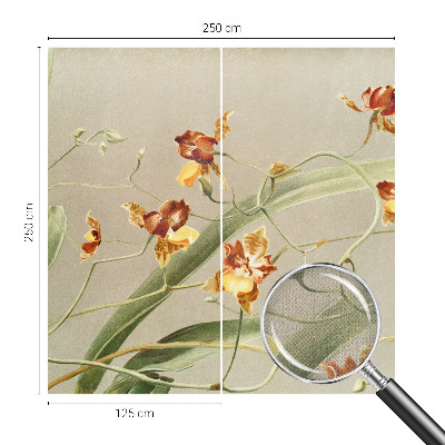 Samolepicí fototapeta Klasické orchideje