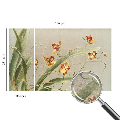 Samolepicí fototapeta Klasické orchideje