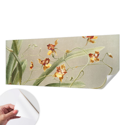 Samolepicí fototapeta Klasické orchideje