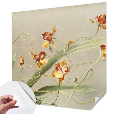 Samolepicí fototapeta Klasické orchideje