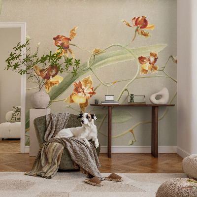Samolepicí fototapeta Klasické orchideje