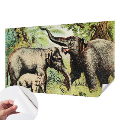 Samolepící fototapeta 3d Rodinní sloni