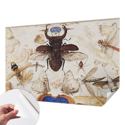 Dětská fototapeta Přirozená harmonie