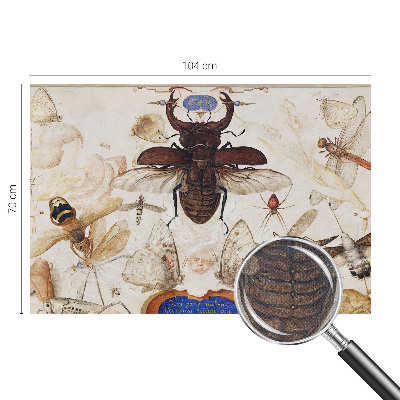 Dětská fototapeta Přirozená harmonie