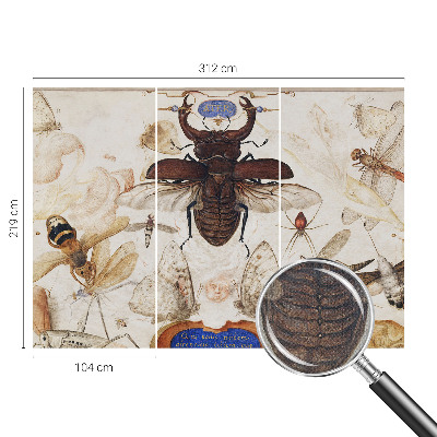 Dětská fototapeta Přirozená harmonie