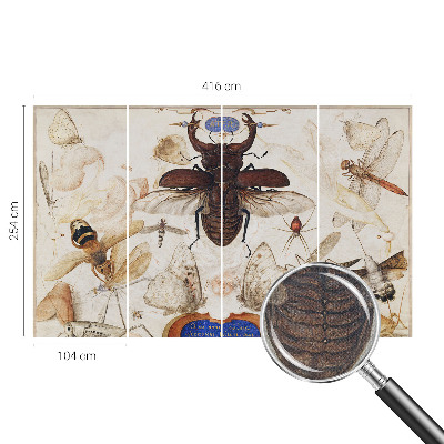 Dětská fototapeta Přirozená harmonie