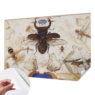 Dětská fototapeta Přirozená harmonie