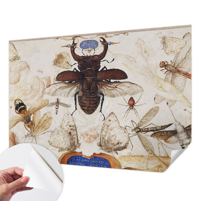 Dětská fototapeta Přirozená harmonie