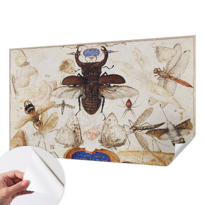 Dětská fototapeta Přirozená harmonie