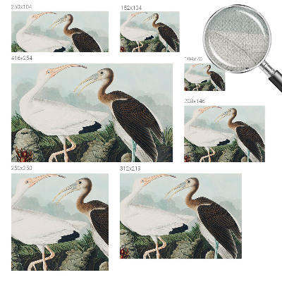 Samolepící fototapeta 3d Ptačí pár