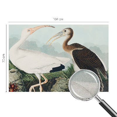 Samolepící fototapeta 3d Ptačí pár