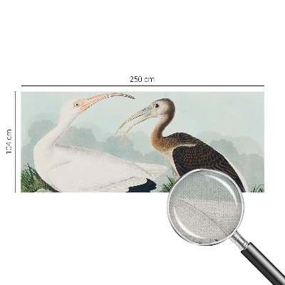 Samolepící fototapeta 3d Ptačí pár