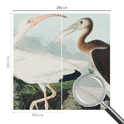 Samolepící fototapeta 3d Ptačí pár