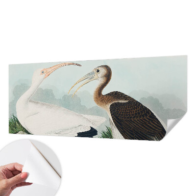 Samolepící fototapeta 3d Ptačí pár