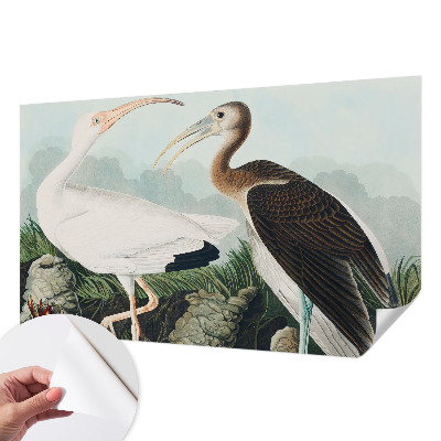 Samolepící fototapeta 3d Ptačí pár