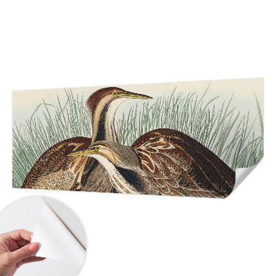 Samolepící tapeta Realističtí ptáci