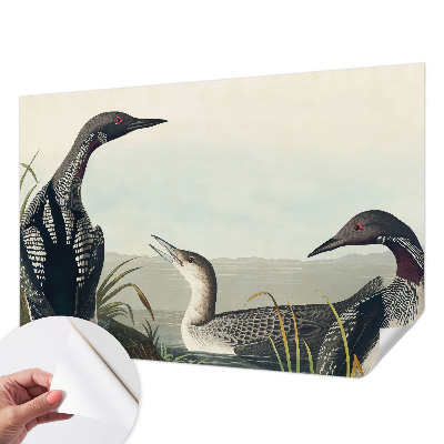 Samolepicí fototapeta do ložnice Ptáci nad vodou