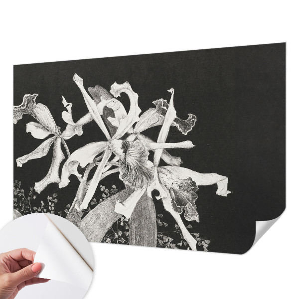 Samolepicí fototapeta do dětského pokoje Ilustrace orchideje