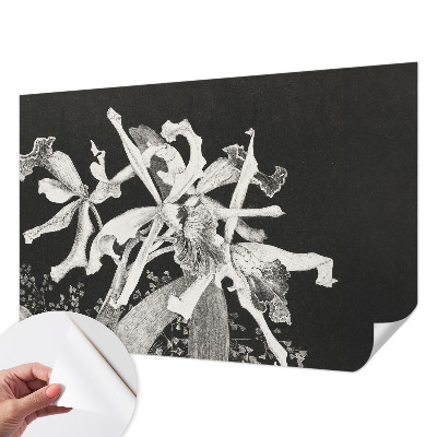 Samolepicí fototapeta do dětského pokoje s ilustrací orchideje