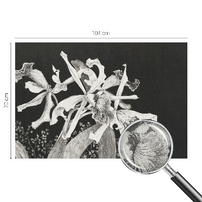 Samolepicí fototapeta do dětského pokoje Ilustrace orchideje