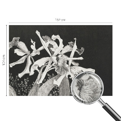 Samolepicí fototapeta do dětského pokoje Ilustrace orchideje